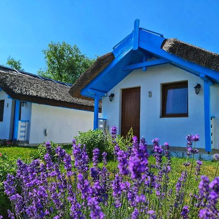 Отель Casa Pescarilor Lunca  Экстерьер фото