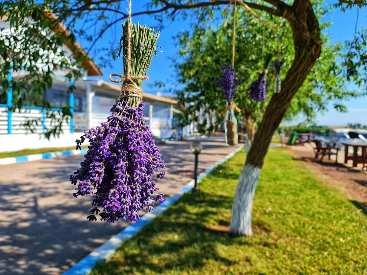 Отель Casa Pescarilor Lunca  Экстерьер фото